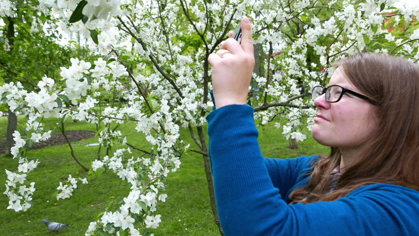 Woman Taking Photo Of Flowers