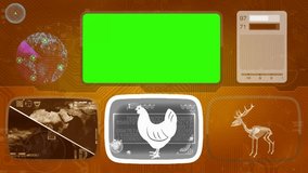 chicken in analysis  - Powered by Shutterstock - Get 15% off with code: PIKWIZARD15