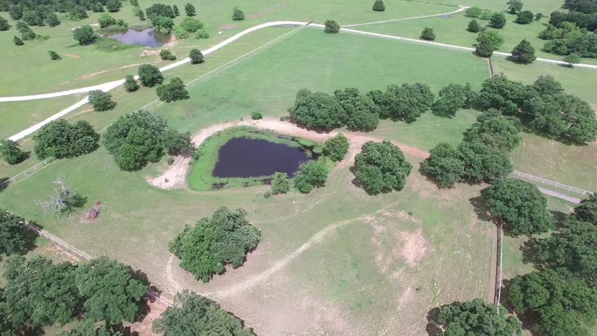 Aerial flight over pond
