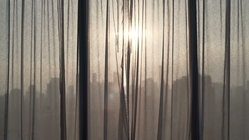 Young businesswoman unveil curtain and looking out of window
 Royalty-Free Stock Footage #16318348
