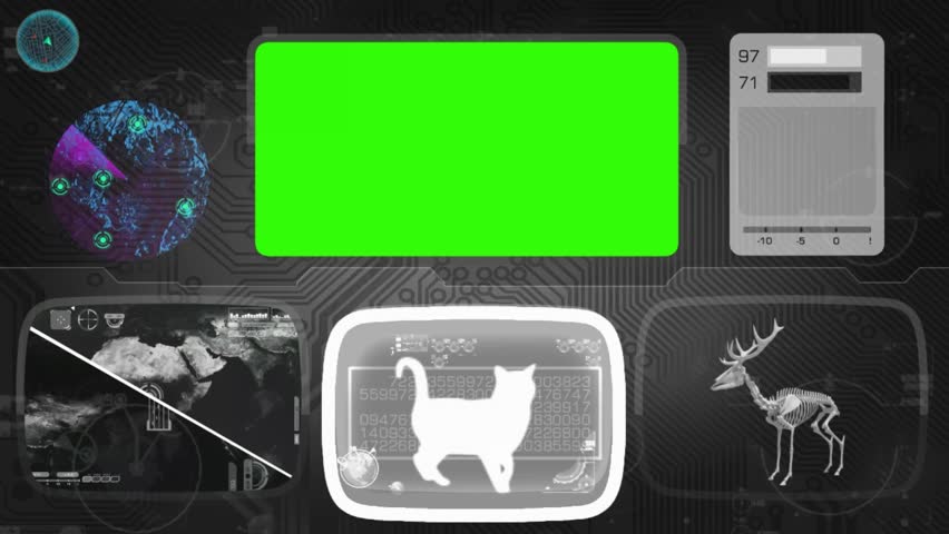 117 Himalayan cat Stock Video Footage - 4K and HD Video Clips ...