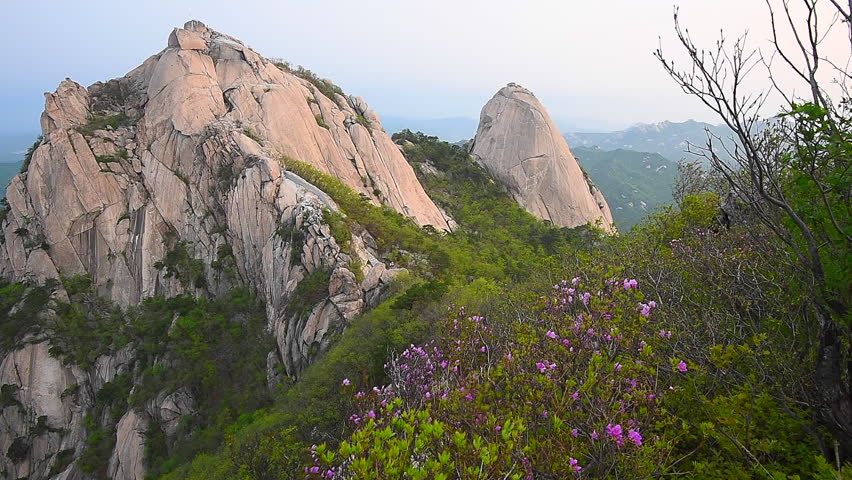 Morning peak in the summer sun and the beautiful flowers, beautiful mountains, South Korea.