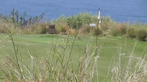 Golf flag on golf course putting green with ocean view in background long blades of grass blowing in breeze in foreground