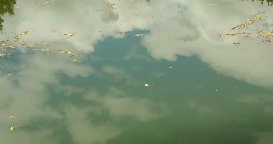 4k clouds reflect on lake,leaves floating on the lake surface,Tibetan park,china. gh2_09777_4k