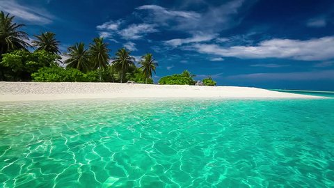 Palm trees on a tropical island white sandy beach
