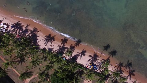 Top View of Praia do Forte beach, Bahia, Brazil