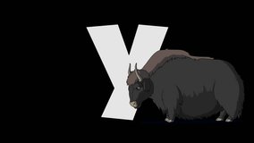 Letter Y  and  Yak  (foreground)
Animated animal alphabet. footage with alpha channel. Animal in a foreground of letter.