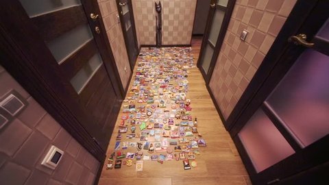 Many refrigerator souvenir magnets spread out on floor in hallway