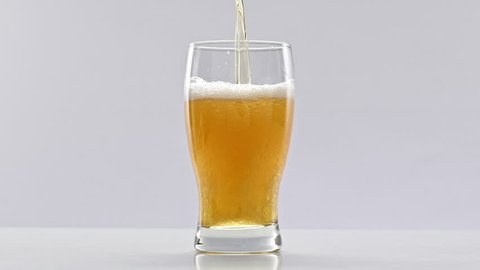 Beer is pouring into glass on white background. Slow motion