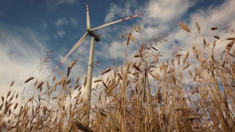 slow motion camera slide over landscape with wind turbines and wheat during cloudy weather