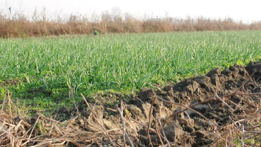 Land and hose for watering and device of irrigation