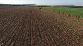 Sugar cane aerial video - Mechanical harvesting sugar cane field in Sao Paulo Brazil at sunset - Aerial dolly in with drone over harvested sugar cane field at sunset 