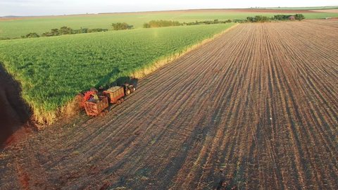 Sugar cane aerial video - Mechanical harvesting sugar cane field in Sao Paulo Brazil at sunset - Aerial dolly in with drone over combine harvesting sugar cane field at sunset 