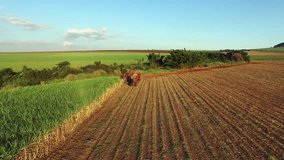 Sugar cane aerial video - Mechanical harvesting sugar cane field in Sao Paulo Brazil at sunset - Aerial static film with drone of combine harvesting sugar cane field at sunset - sugar cane plantation