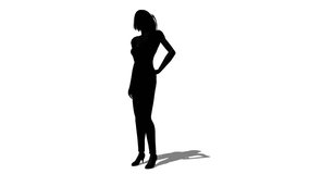 3D CG rendering of woman silhouette
