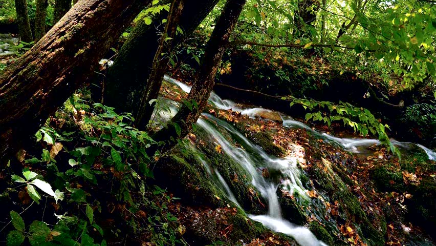 Malanaphy Springs Iowa
