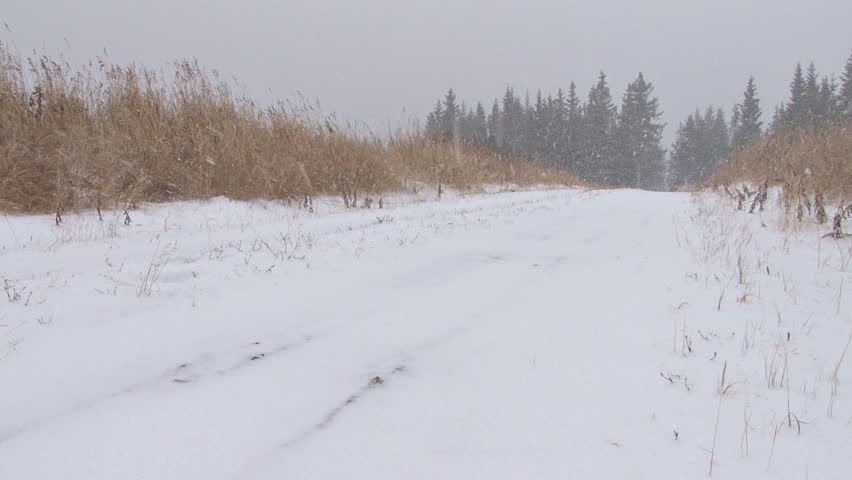 Increasingly heavy snowfall on a country lane in Alaska.