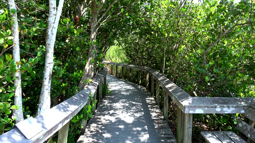 Beautiful landscapes in the Everglades National Park in Florida
