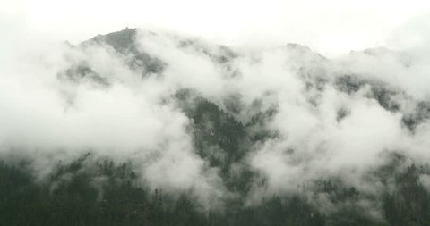 4k time lapse of mountain mist rising in the morning,fog pine trees,such as wonderland.Bomi County in tibet,the largest precipitation area in China. 