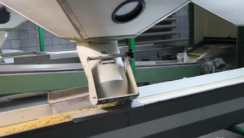 The production of pasta