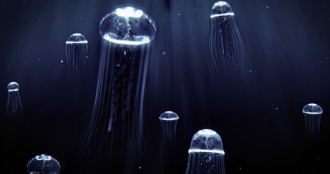 High quality animation of Blue Jellyfishes swimming in Deep Dark Ocean. This video can be used as background or as stand-alone video. The video is a seamless loop. Full 4K Ultra HD resolution video.