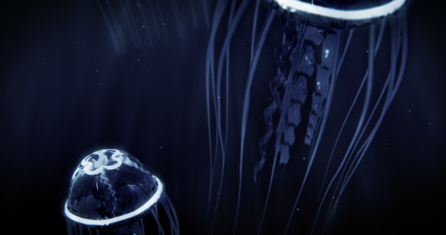 High quality animation of Blue Jellyfishes swimming in Deep Dark Ocean. This video can be used as background or as stand-alone video. The video is a seamless loop. Full 4K Ultra HD resolution video. Royalty-Free Stock Footage #16482130