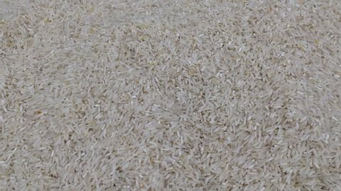 handheld footage of rice