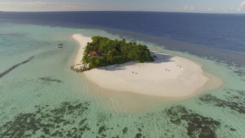 Aerial shot of a small tropical island in Maldives island, 2015.
Palm tree on the sandbank.