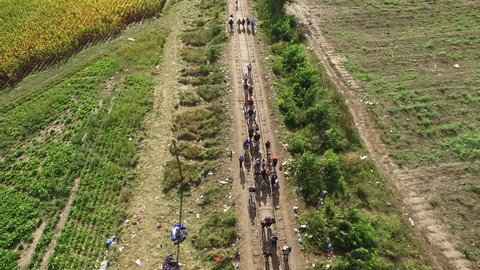 Aerial shot of refugees crossing at Hungarian - Serbian border, 14. September 2015. The day before Hungary closing the border. Peoples walking on rail.