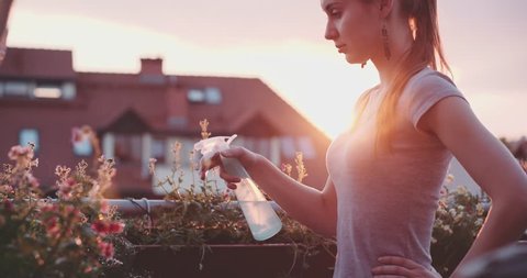 Woman Spraying Flowers with water at the Balcony during Sunset, Close Up. Slow Motion 120 fps, 4K DCi. Young beautiful female sprinkling plants on the evening terrace. Patio garden. Lens Flare