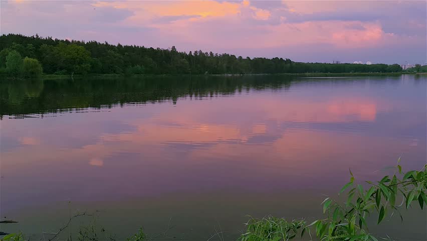 Summer lake with an amazing purple sunset near the forest