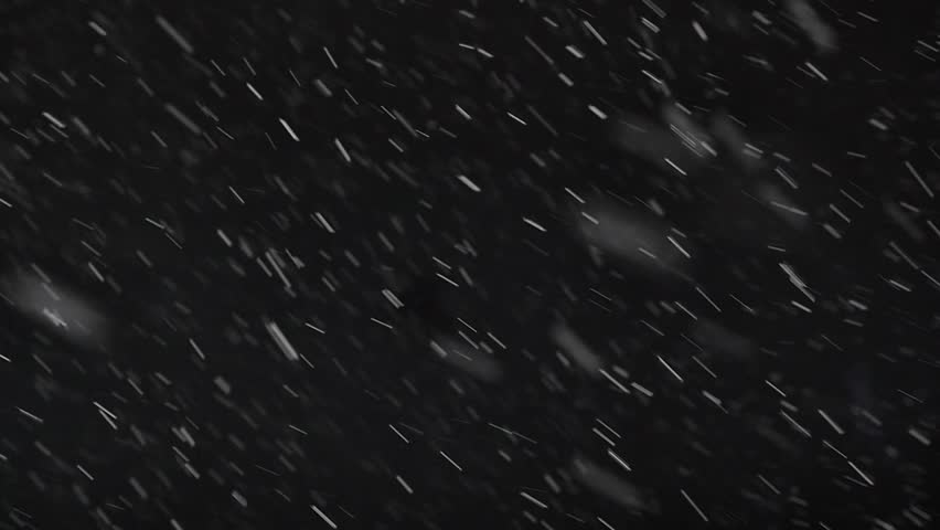 Time-lapse Footage of Snow Falling Stock Footage Video (100% Royalty