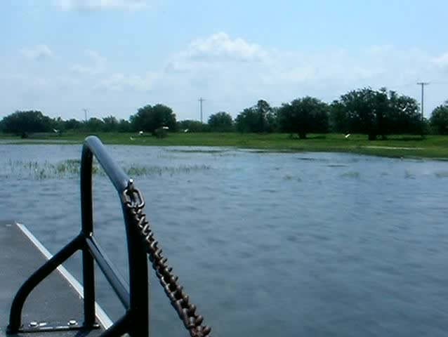 Boat Trip