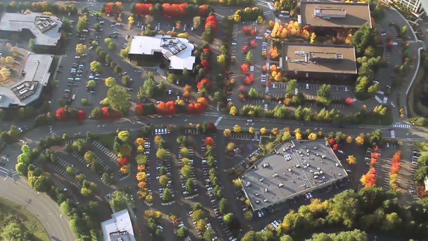 Large Parking Lot Full of Trees in Autumn