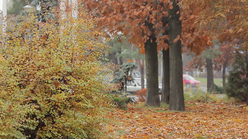 Unhappy beggar limping in autumn park, social vulnerability and poverty problem