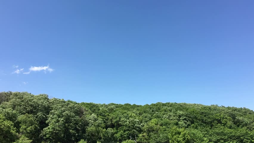 woods,wind