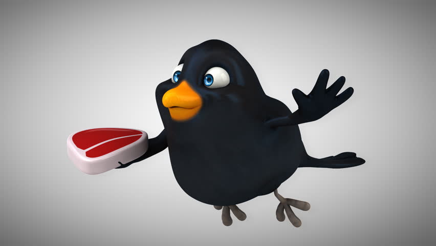 Black bird
