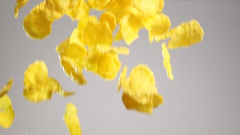 Crispy tasty yellow corn flakes flying.  Shot with high speed camera in slow motion mode. White background isolated. Close up.
