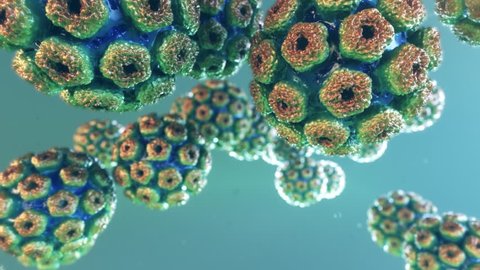3d Concept CloseUp of human cancer papilloma virus (HPV)