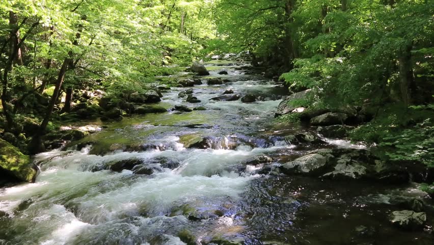 Pigeon River - Great Smoky Mountains National Park, Tennessee