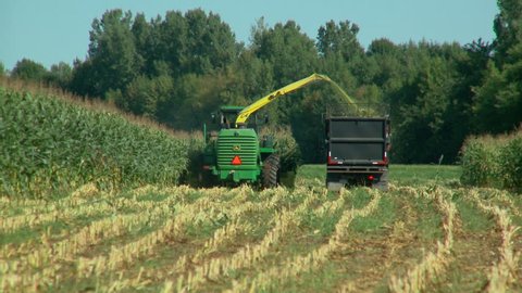 Corn chopper cuts down crops