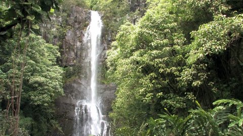Wailua waterfall in Maui, Hawaii near town of Hana. Rain jungle vegetation. Vines in trees. 