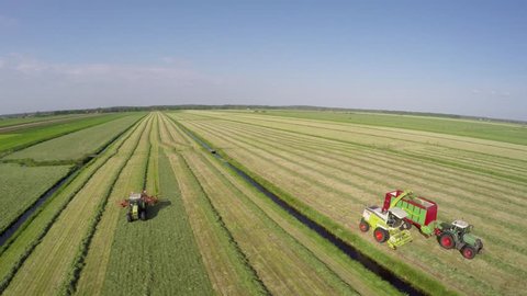 Aerial of tractor raking grass hay and combine harvester harvesting dried grass off land and unloading grass in tractor driving farm landscape flatland scenery farming machinery blue sky background 4k