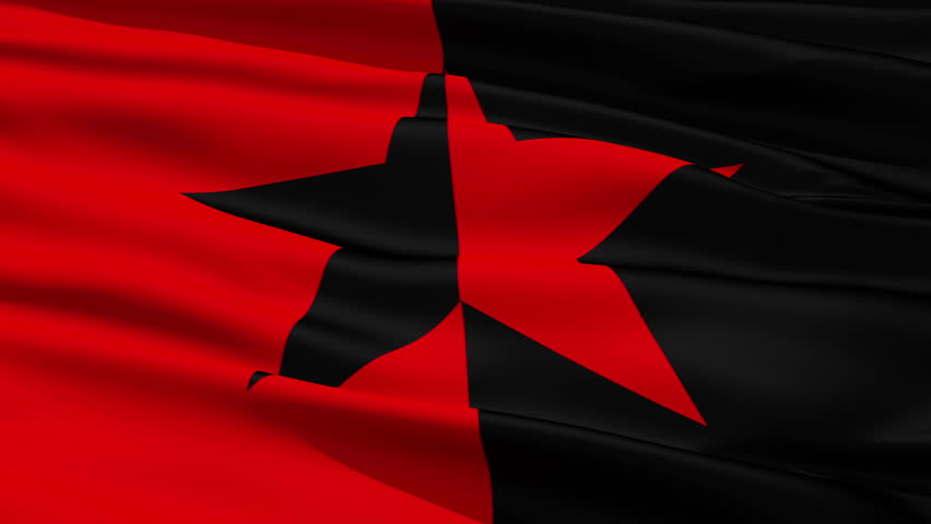 Red and Black Star Flag, symbolizing the co-existence of anarchist and socialist
