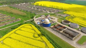 Camera flight over biogas plant from pig farm in rapeseed fields. Renewable energy from biomass. Modern agriculture in Czech Republic and European Union. 