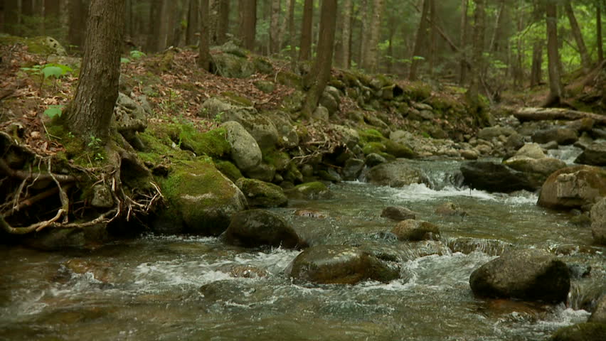 Rocky Stream Rocky Stream