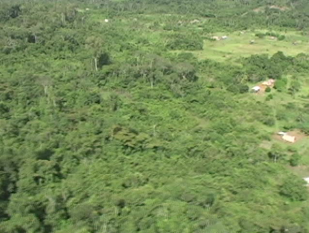 Aerial view of the rain forest in Guyana and shadow of a plane