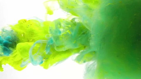 Colorful paint in dynamic flow. Color jet of ink on white background. Liquid organic sculptures under water. 