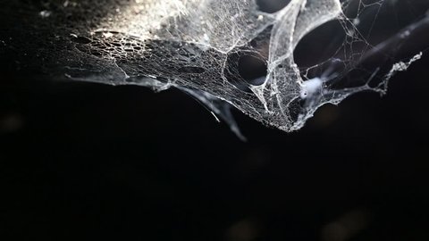 cobweb or spider web in ancient thai house window lighting