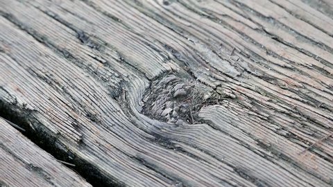 Motion of rusty wood texture detail on bridge